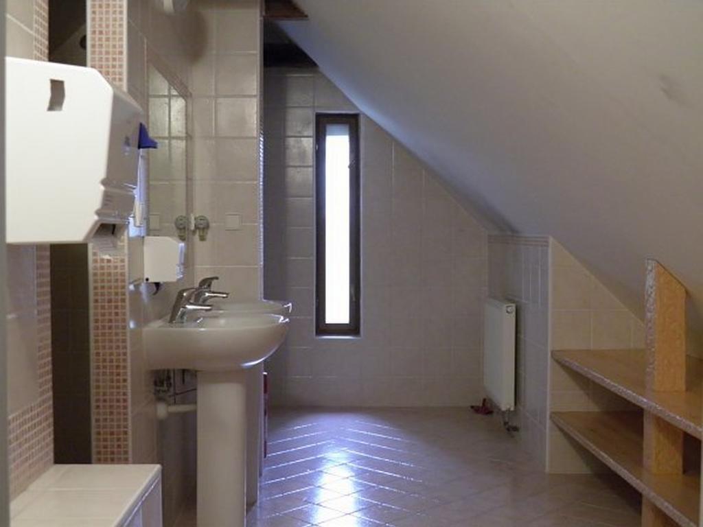 Dvur Olsiny -Hotel And Horse-Riding Karviná Екстериор снимка