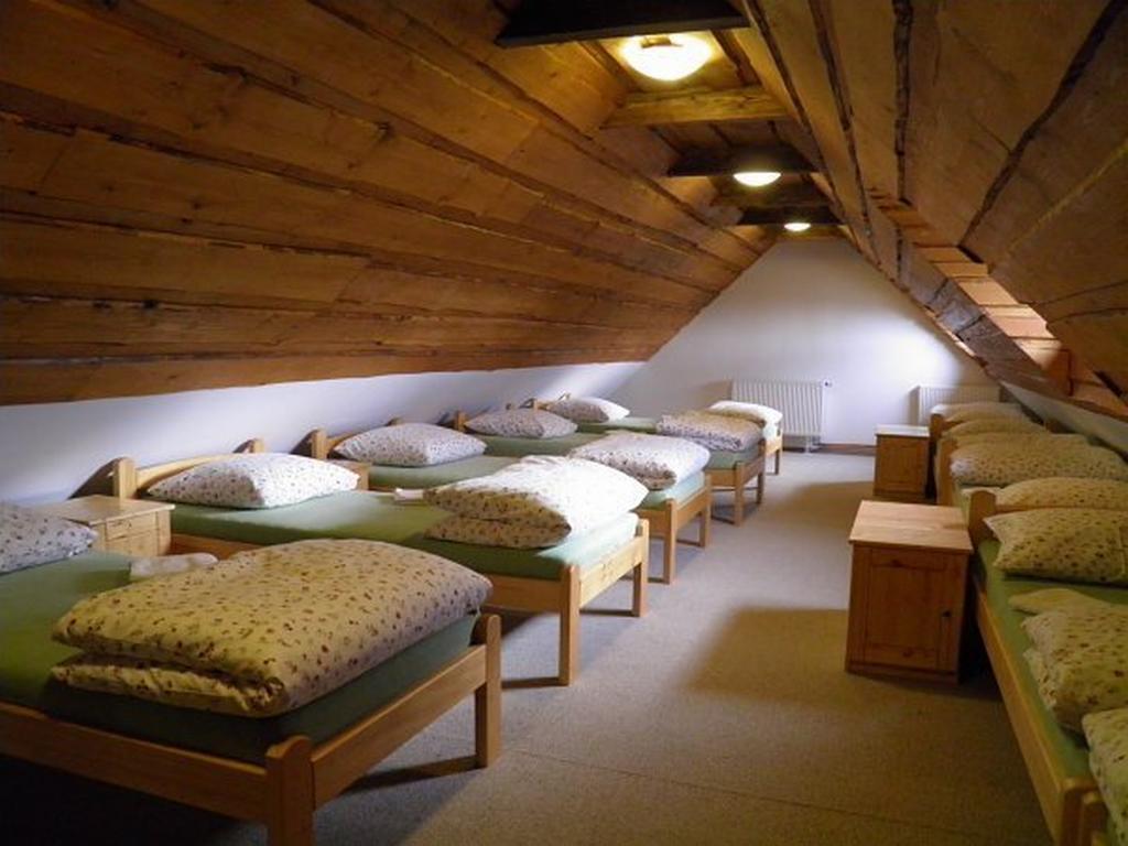 Dvur Olsiny -Hotel And Horse-Riding Karviná Екстериор снимка
