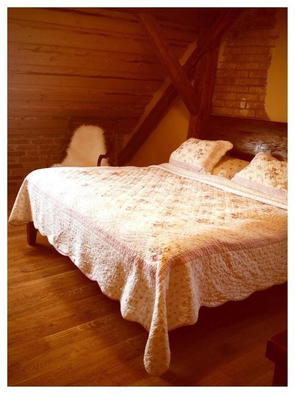 Dvur Olsiny -Hotel And Horse-Riding Karviná Стая снимка